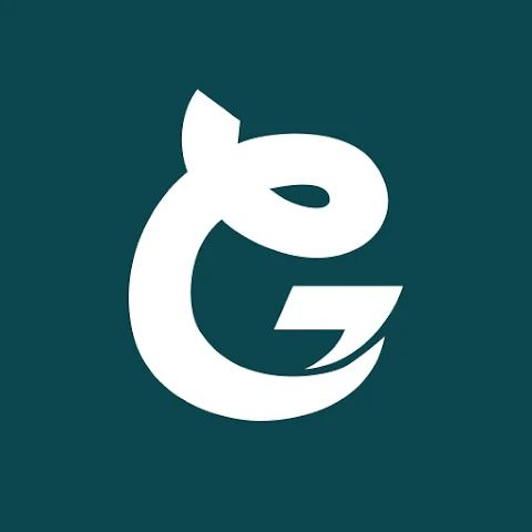 GoldBridge Loan-Line of Credit